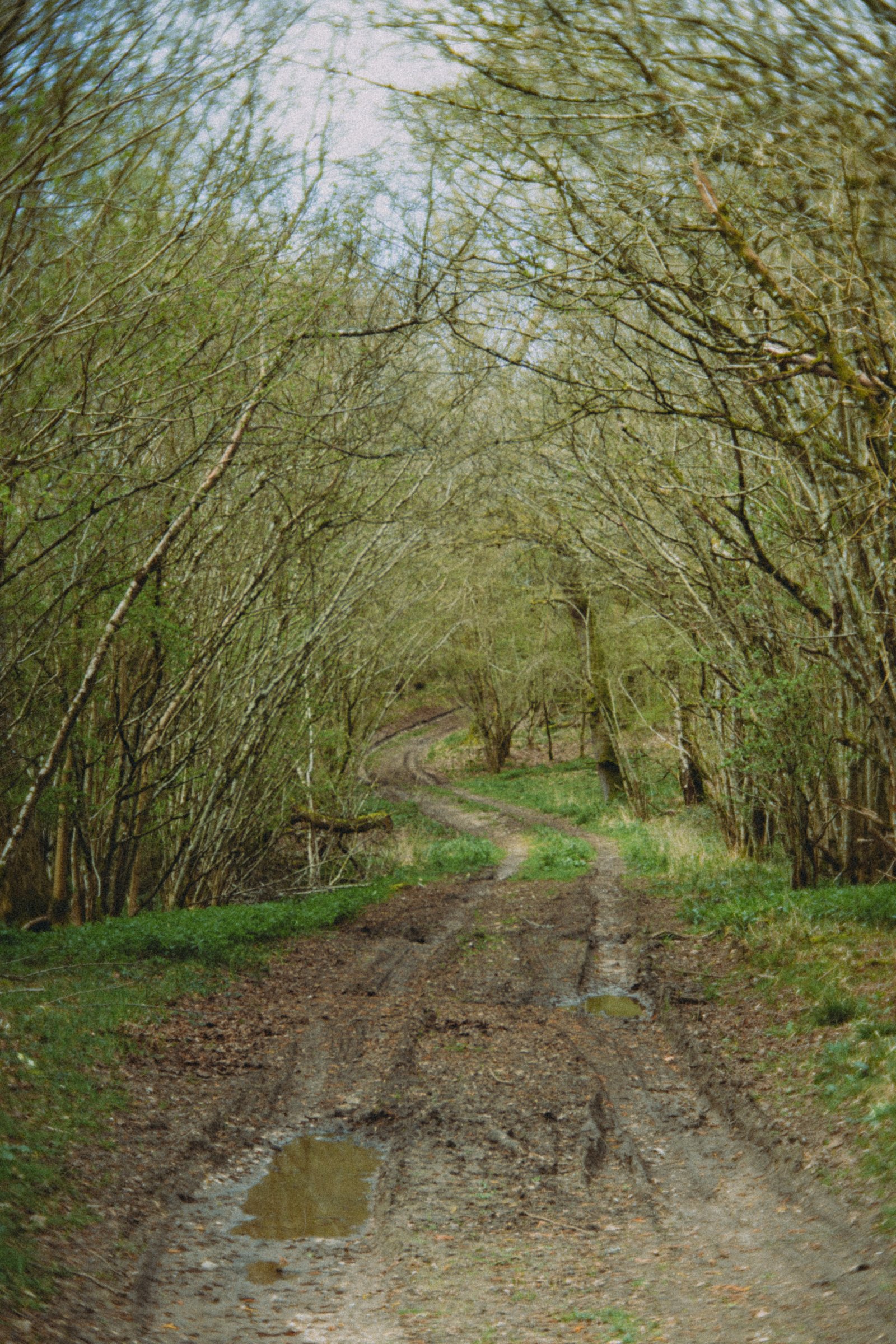 DSC06035