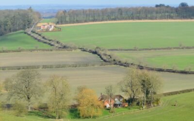 Shepherd’s Cottage and Richard Adams