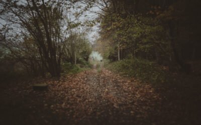 The Northern Edge of Caesar’s Belt