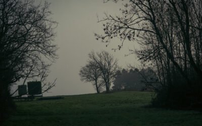 Watership Down: January 2026