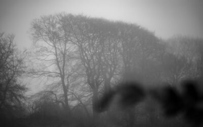 Cannon Heath and Watership: February 2026